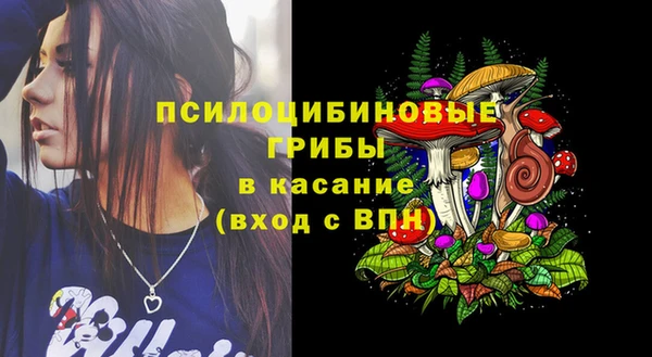 Альфа ПВП Абаза